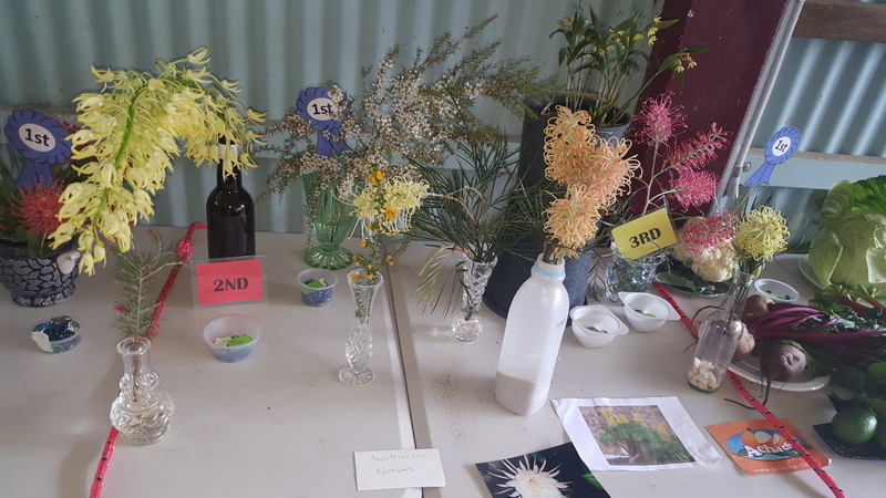 Maleny Garden Club