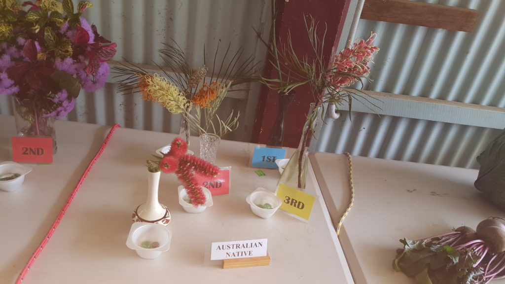 Maleny Garden Club