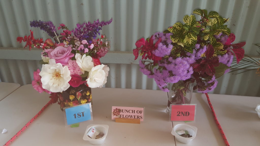 Maleny Garden Club