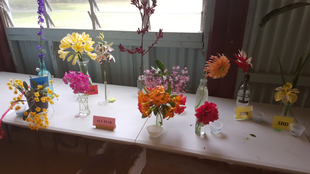 Maleny Garden Club