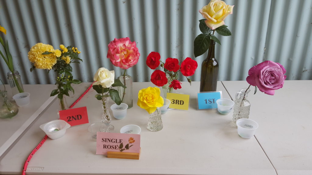 Maleny Garden Club