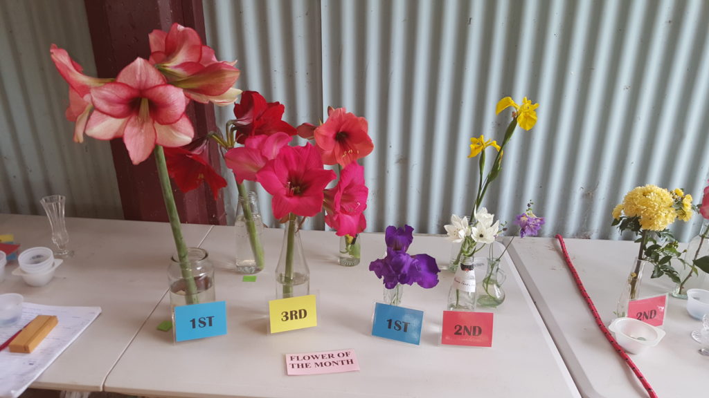 Maleny Garden Club