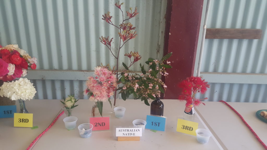 Maleny Garden Club