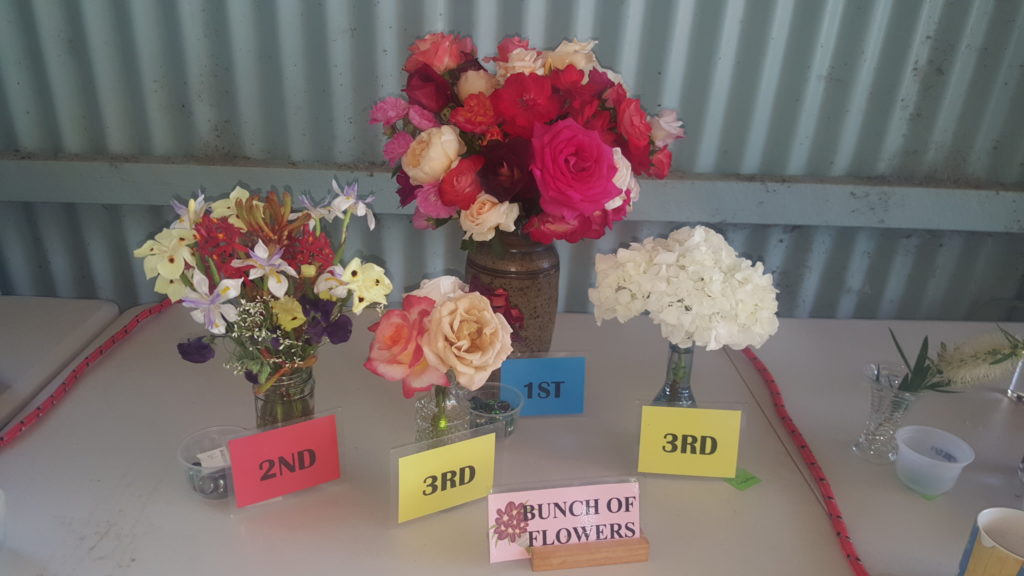 Maleny Garden Club