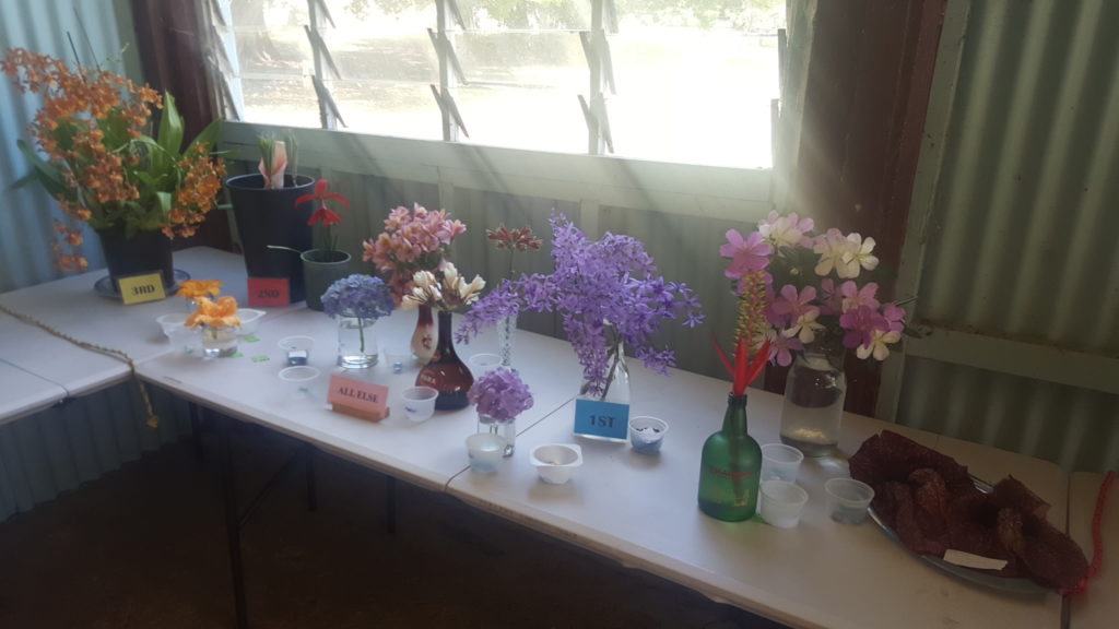 Maleny Garden Club