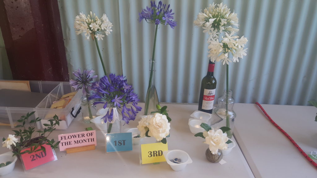Maleny Garden Club