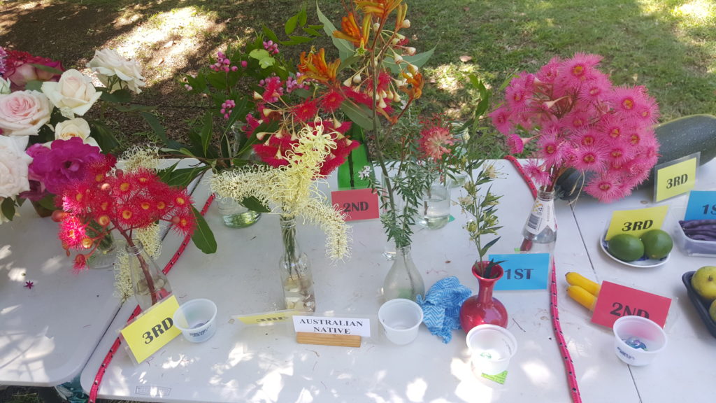 Maleny Garden Club
