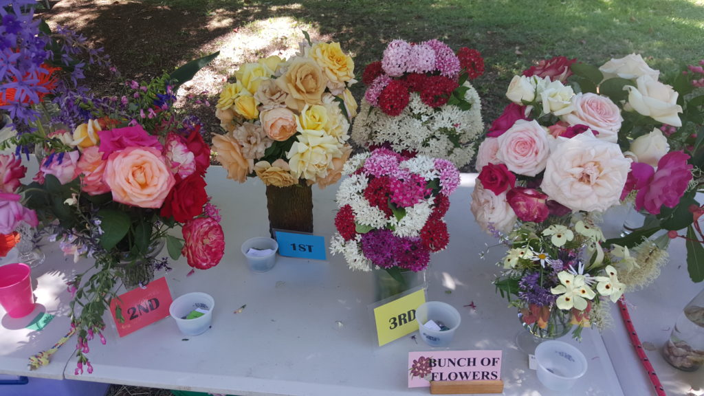 Maleny Garden Club