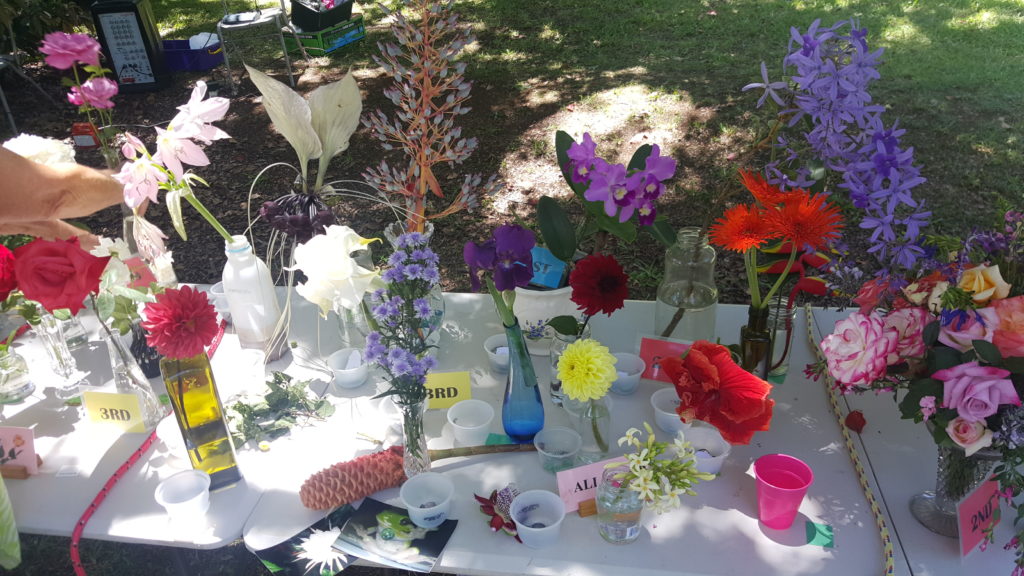 Maleny Garden Club