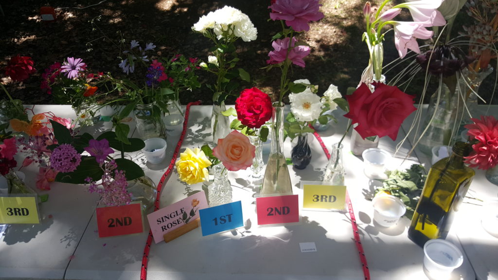 Maleny Garden Club