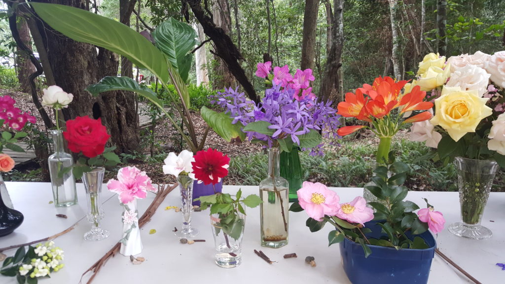 Maleny Garden Club