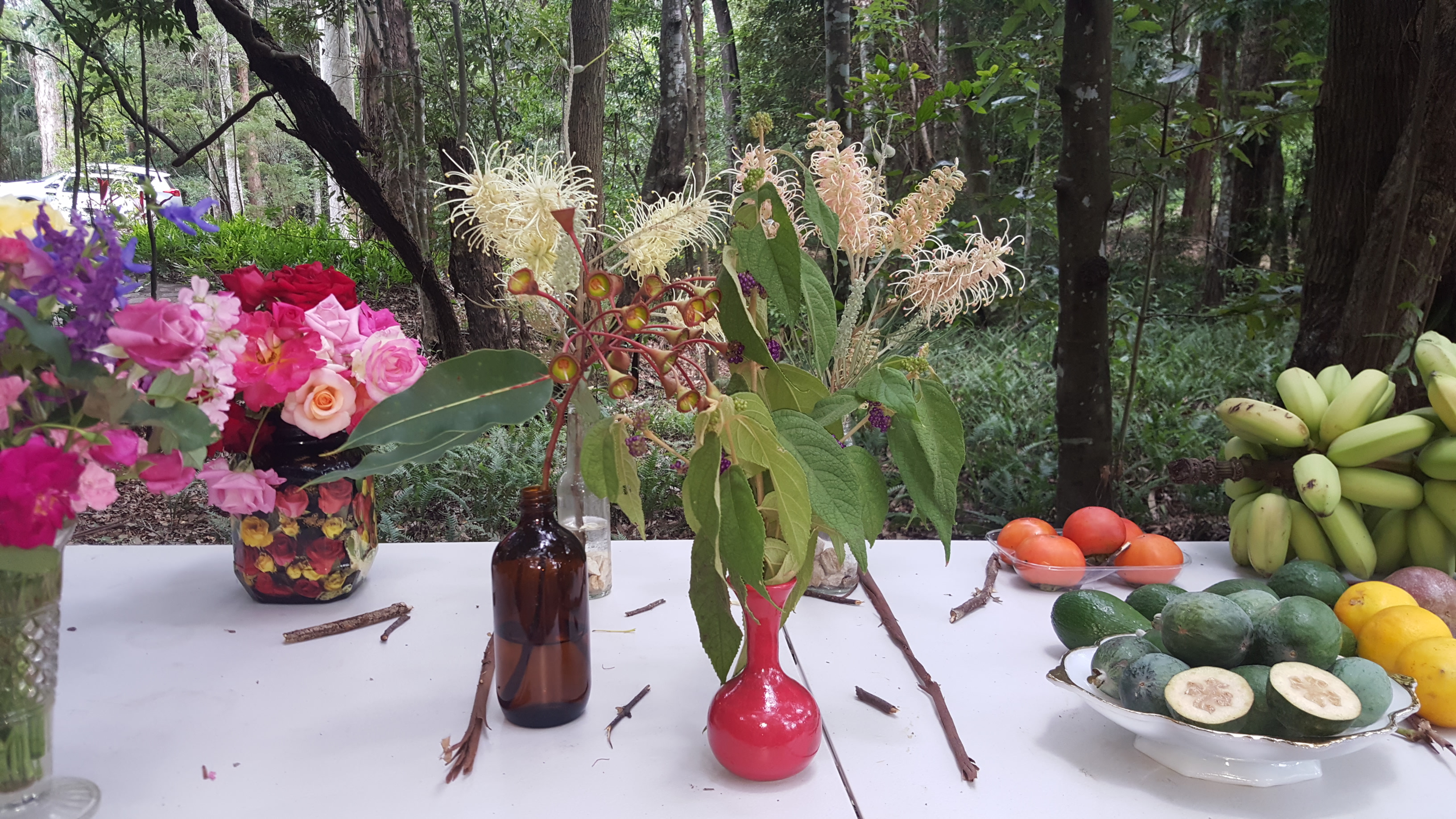 Maleny Garden Club