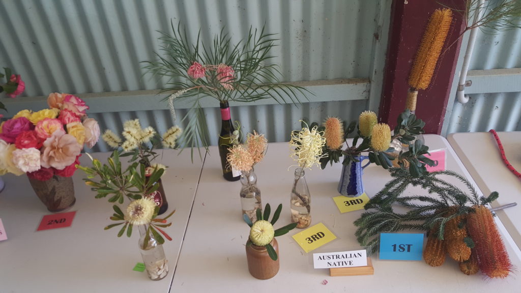 Maleny Garden Club