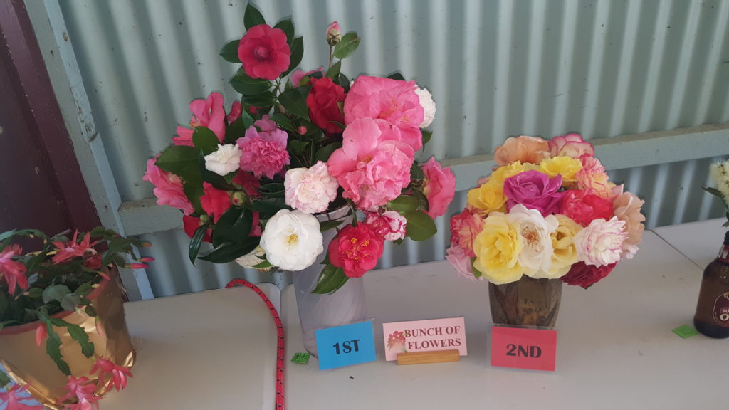 Maleny Garden Club