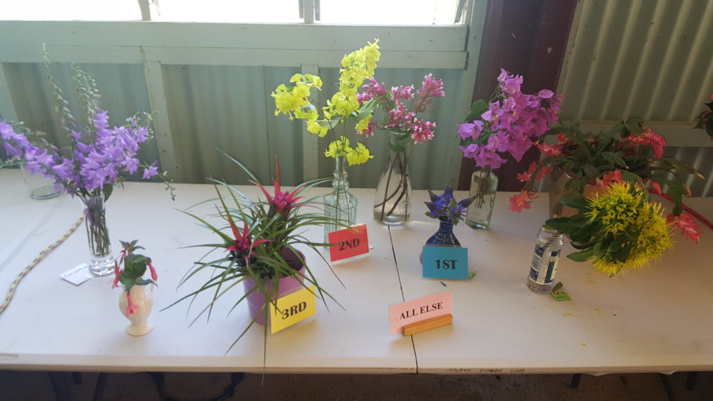 Maleny Garden Club