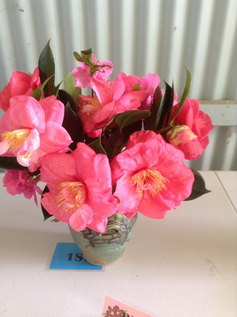 Maleny Garden Club