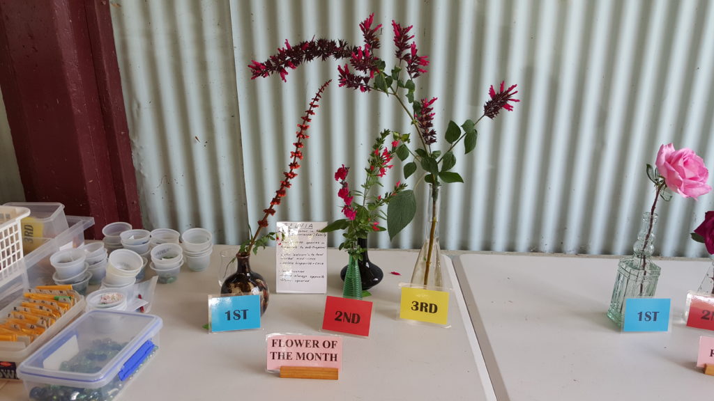 Maleny Garden Club