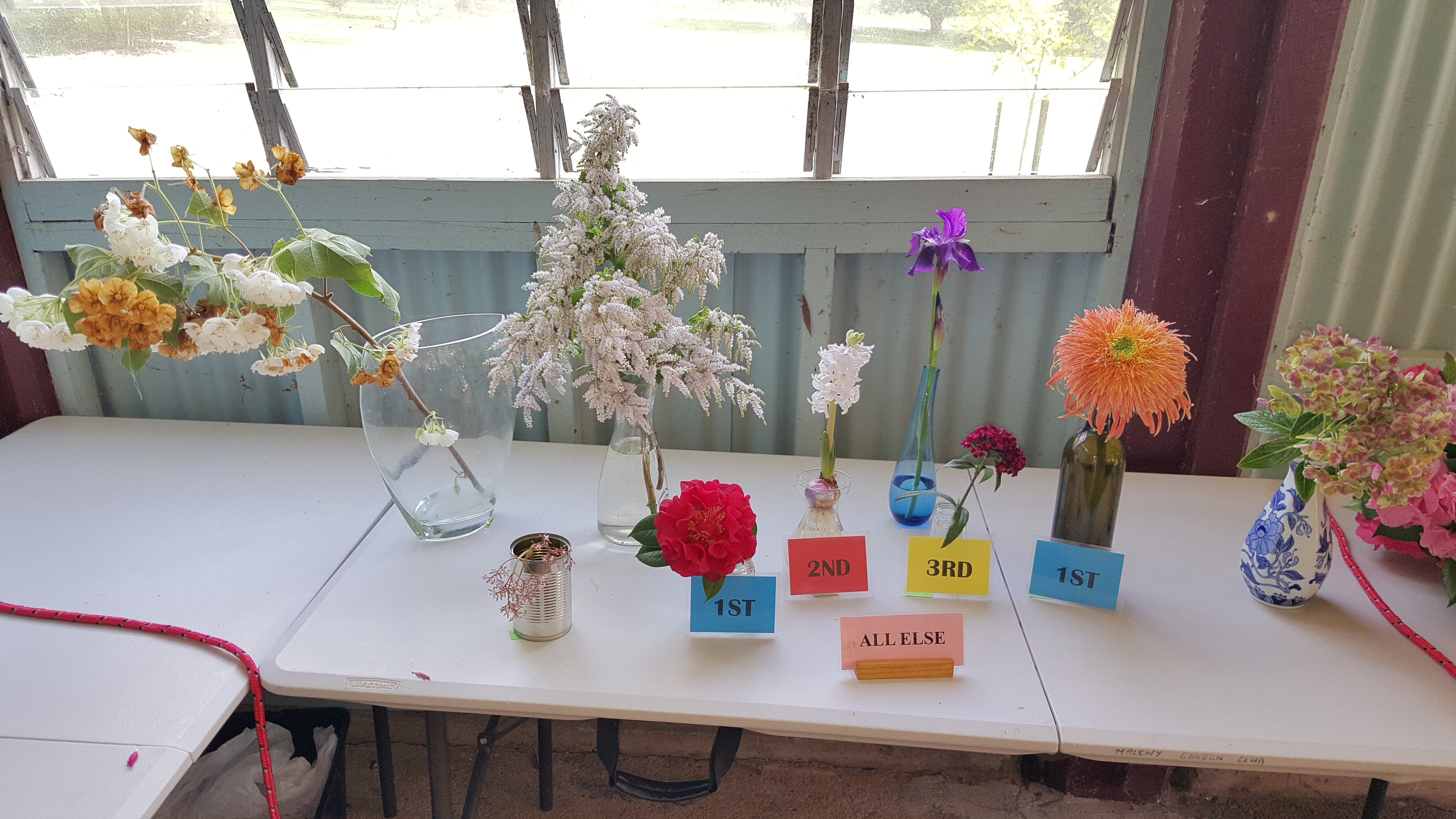 Maleny Garden Club