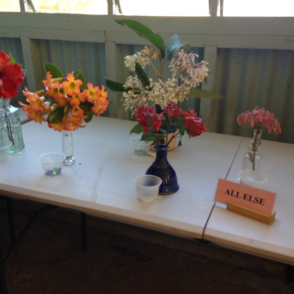 Maleny Garden Club