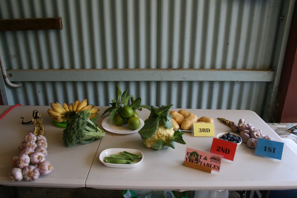 Maleny Garden Club