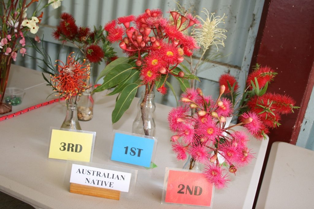 Maleny Garden Club