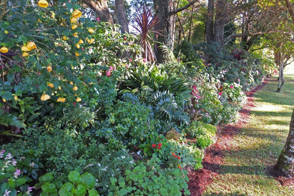 Maleny Garden Club