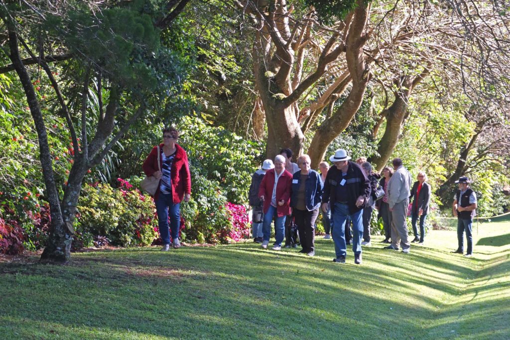 Maleny Garden Club