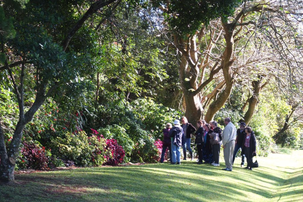 Maleny Garden Club