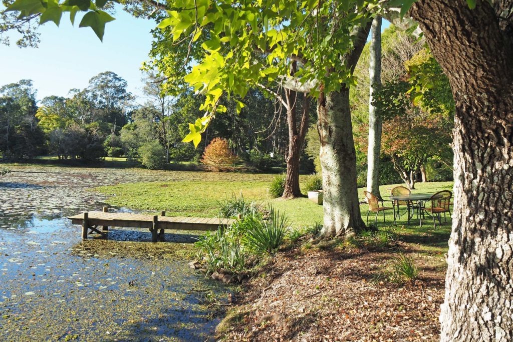 Maleny Garden Club