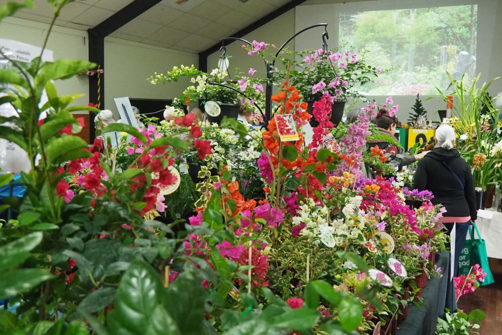 Maleny Garden Club