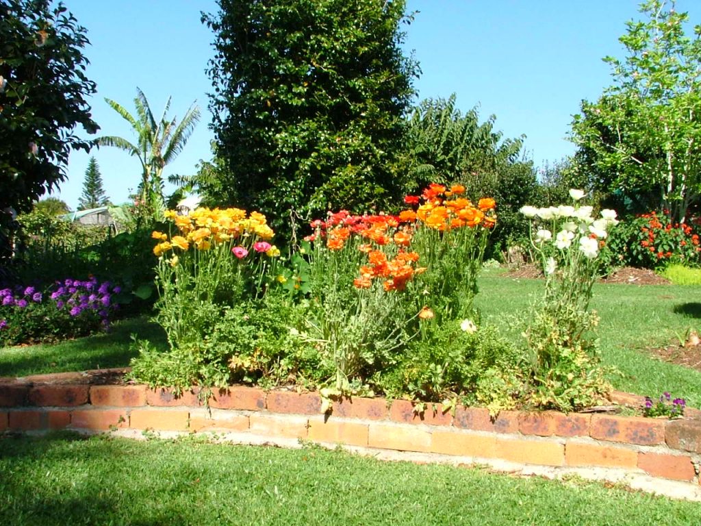 Maleny Garden Club