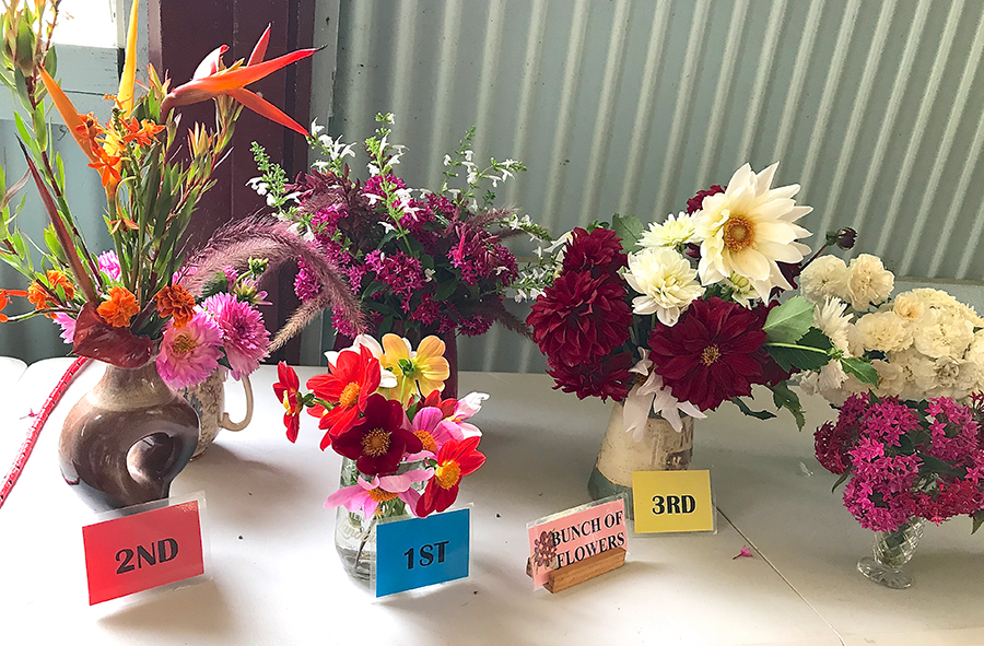 Maleny Garden Club