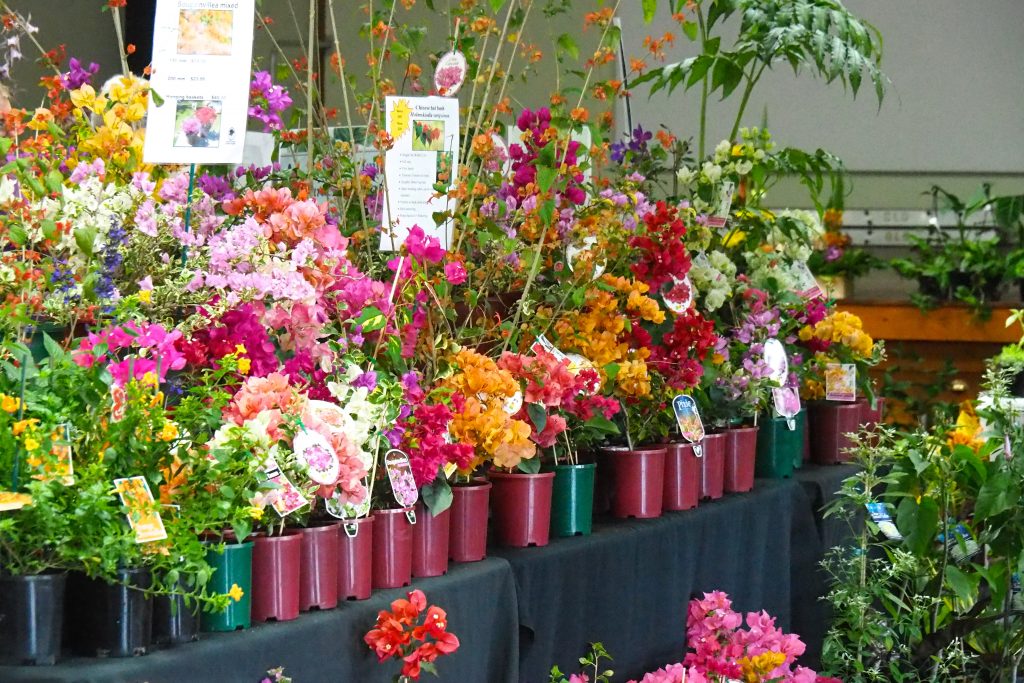 Maleny Garden Club