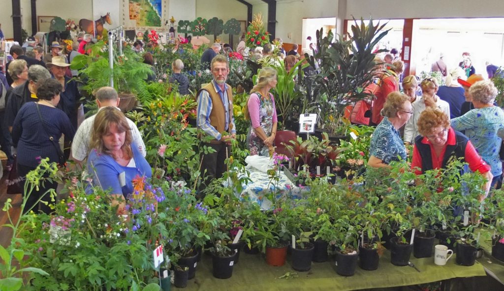 Maleny Garden Club