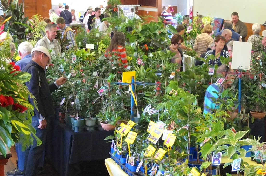Maleny Garden Club