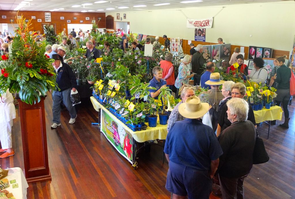 Maleny Garden Club