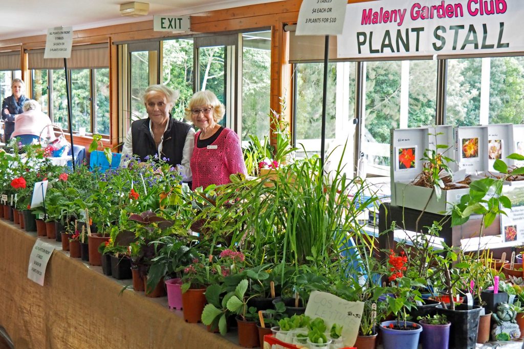 Maleny Garden Club