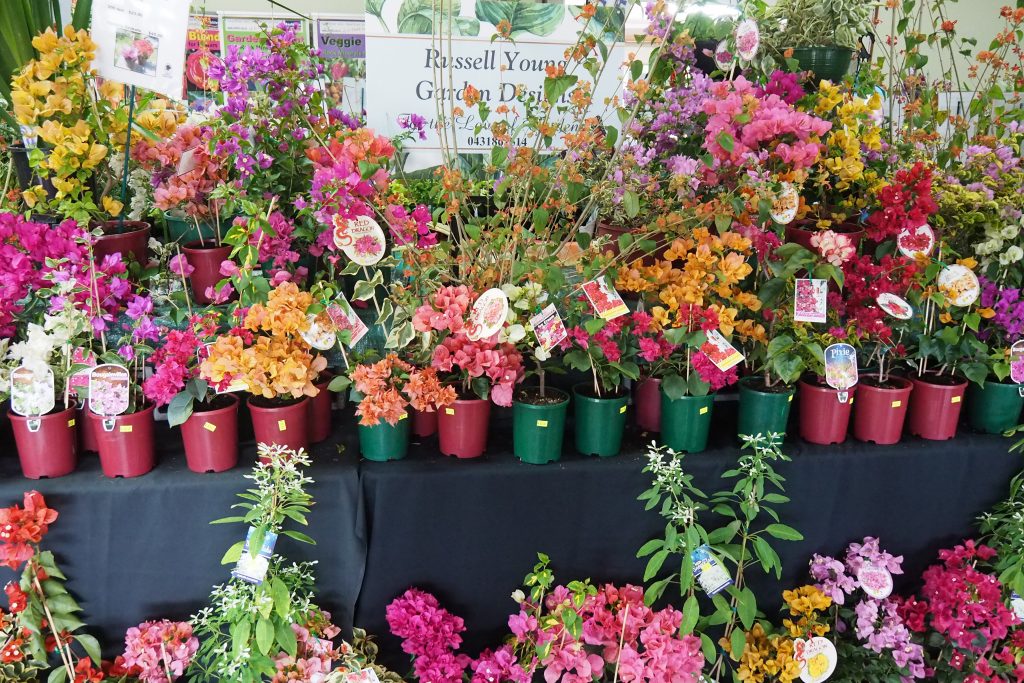 Maleny Garden Club