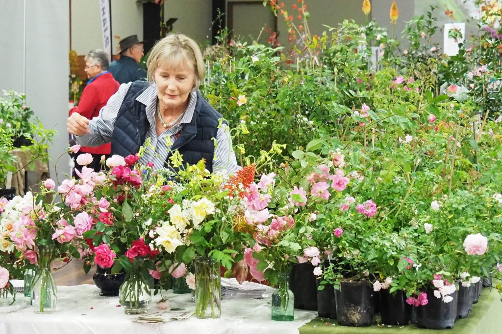 Maleny Garden Club