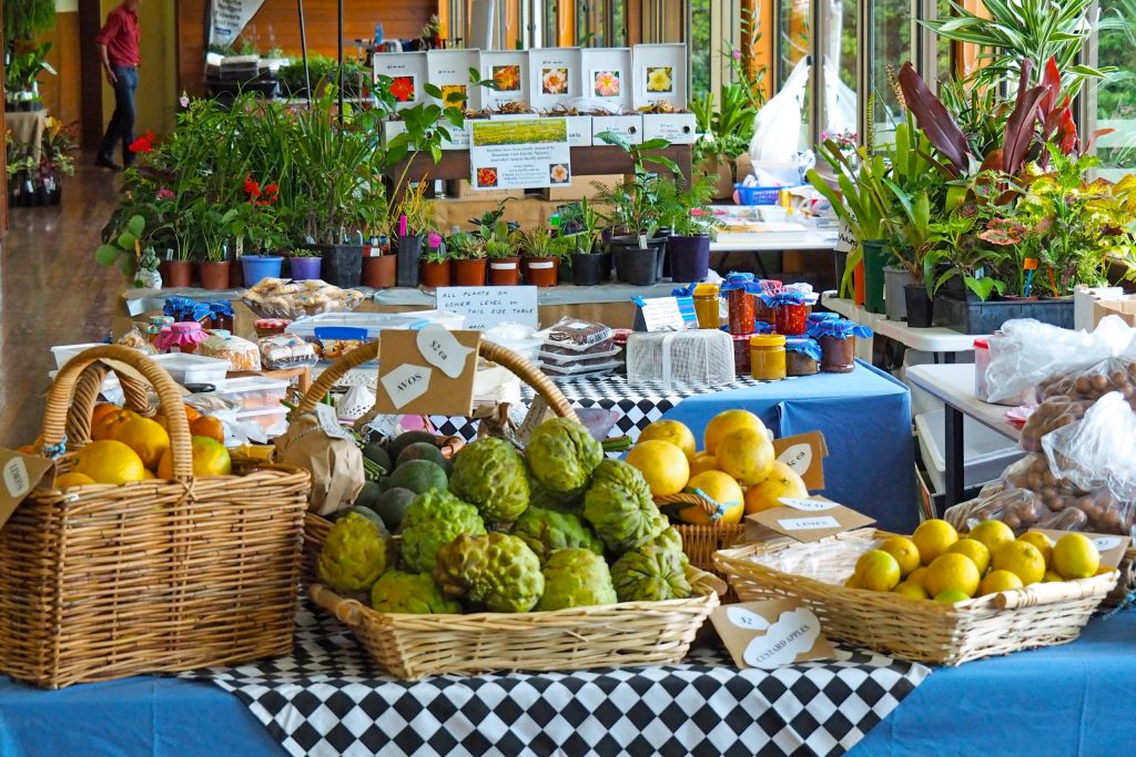 Maleny Garden Club