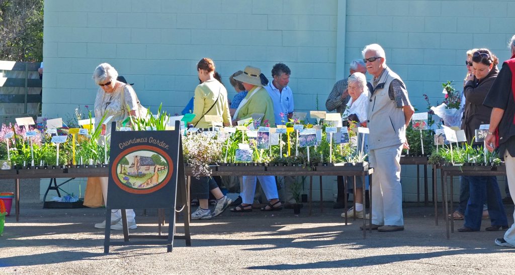 Maleny Garden Club