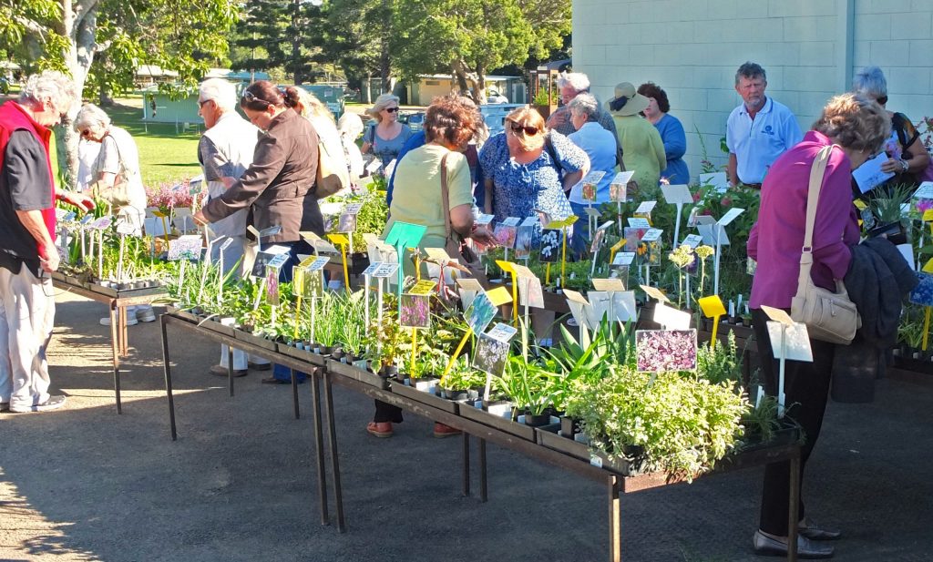 Maleny Garden Club