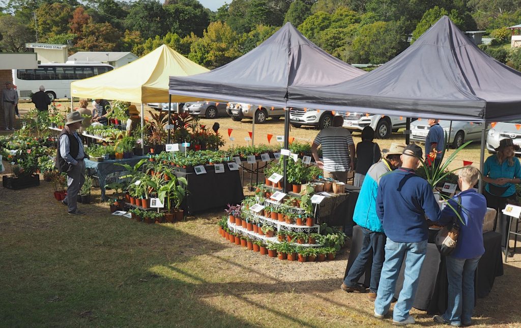 Maleny Garden Club