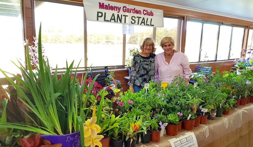 Maleny Garden Club